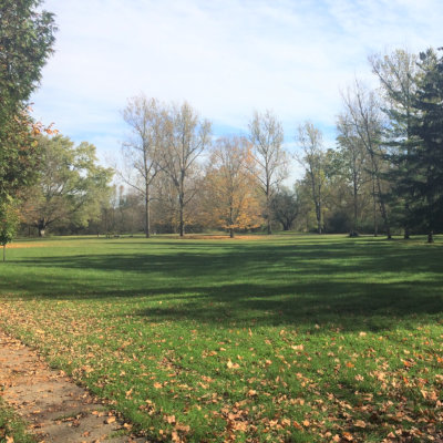 Five Oaks picnic area on the Grand River with Grand River Rafting