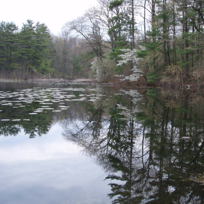 Pinehurst Lake Conservation Area near the Grand River